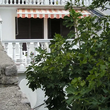 شقة Any سيلتسي