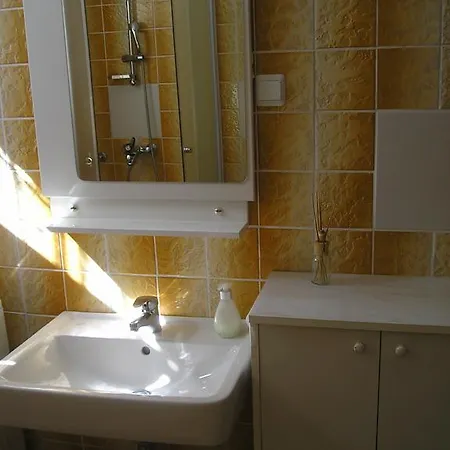 דירה Any סלצה